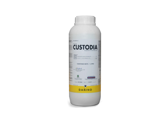 cea5f0bd-5bb5-4dd6-90e2-76bde0a31ac3