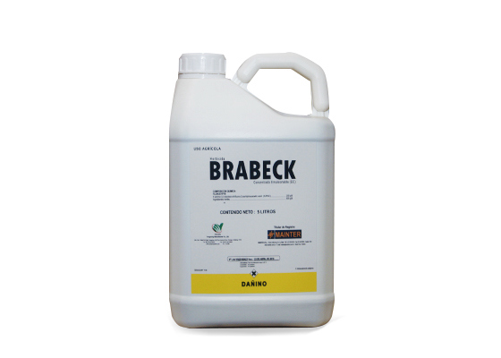Brabeck ( C x 2 x 10 lt )