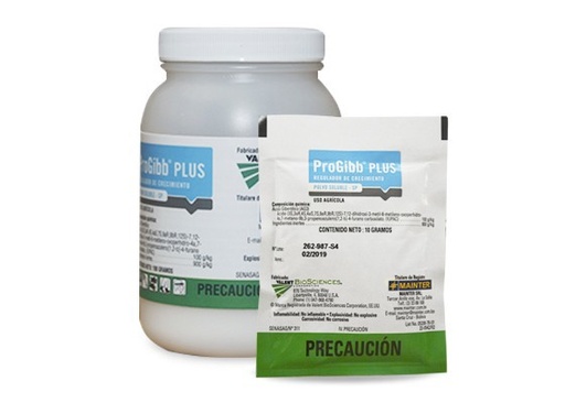 Pro-Gibb 10 SP ( C x 20 x 100 Gr )