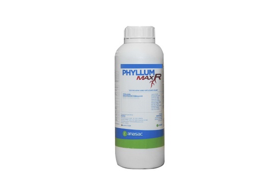 Phyllum Max R ( C x 12 x 1 lt )